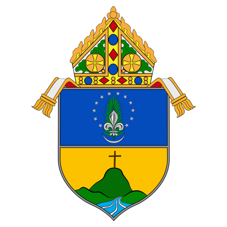 Diocese of Maasin - Catholink