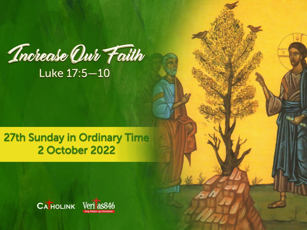 27th Sunday In Ordinary Time - Catholink